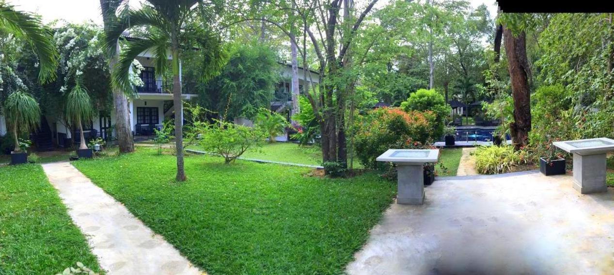 Flower Garden Eco Village Sigiriya Ngoại thất bức ảnh